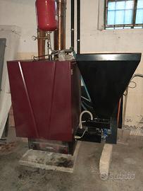 caldaia a biomassa ad uso domestico