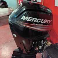 Mercury 115ct XL 2018 700 ore