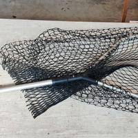 guadino pesca grande 