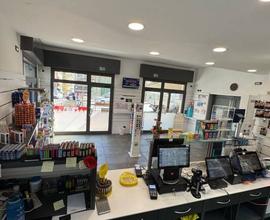 TABACCHERIA ARMA DI TAGGIA € 230.000