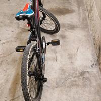 bici 20 pollici