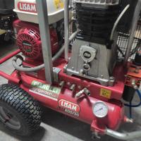 gruppo abbacchiatore lisam 600/30