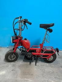 Benelli CITYBIKE cc50