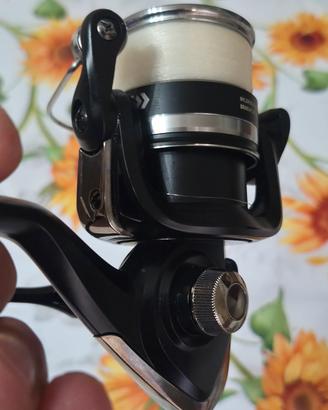 canna bolo daiwa + mulinello