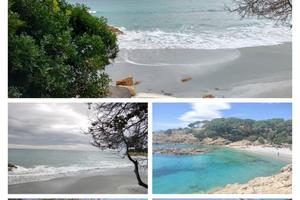 Casa Vacanze Sos Alinos - Calaliberotto - Orosei