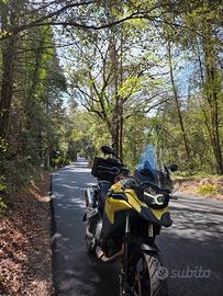bmw gs 750f austin yellow metallic 