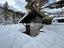Immagine 24