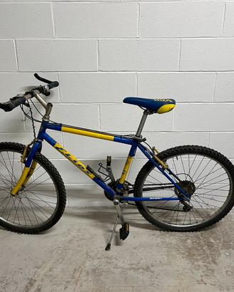 Bici ragazzo