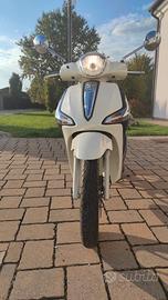 LIBERTY 50 CC