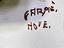 Immagine 6
