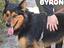 Immagine 3