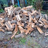 legna da ardere Ulivo 