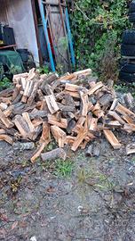 legna da ardere Ulivo 