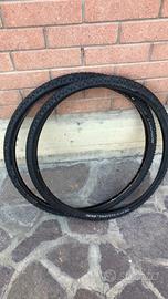 Due gomme mtb 29 euro 20