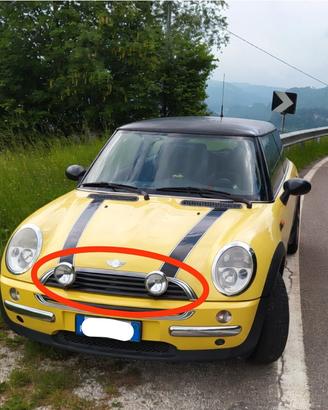 Coppia Faretti Anteriori Cromati - Mini Cooper