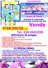 ampio-trivano-con-verande-168-000-00