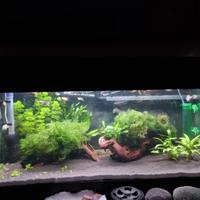 Acquario  91L lordi  circa 75/ 80 netti