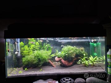 Acquario  91L lordi  circa 75/ 80 netti