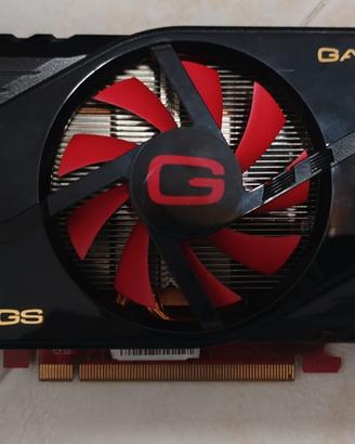 scheda video nvidia gainward geforce gtx 460 1gb 