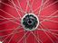 Immagine 8