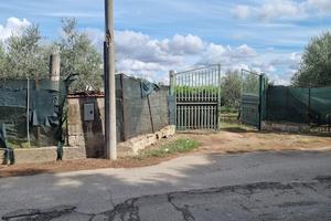 Agrumeto in LIDO AZZURRO (TA)