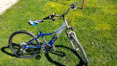 Bicicletta da bambino