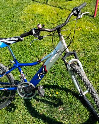 Bicicletta da bambino