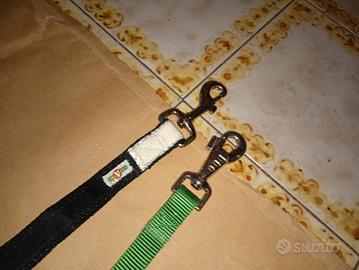 guinzagli e anello per cane
