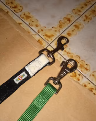 guinzagli e anello per cane