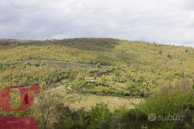 Rustico/Casale/Corte San Venanzo [FC121VRG] (Ripal