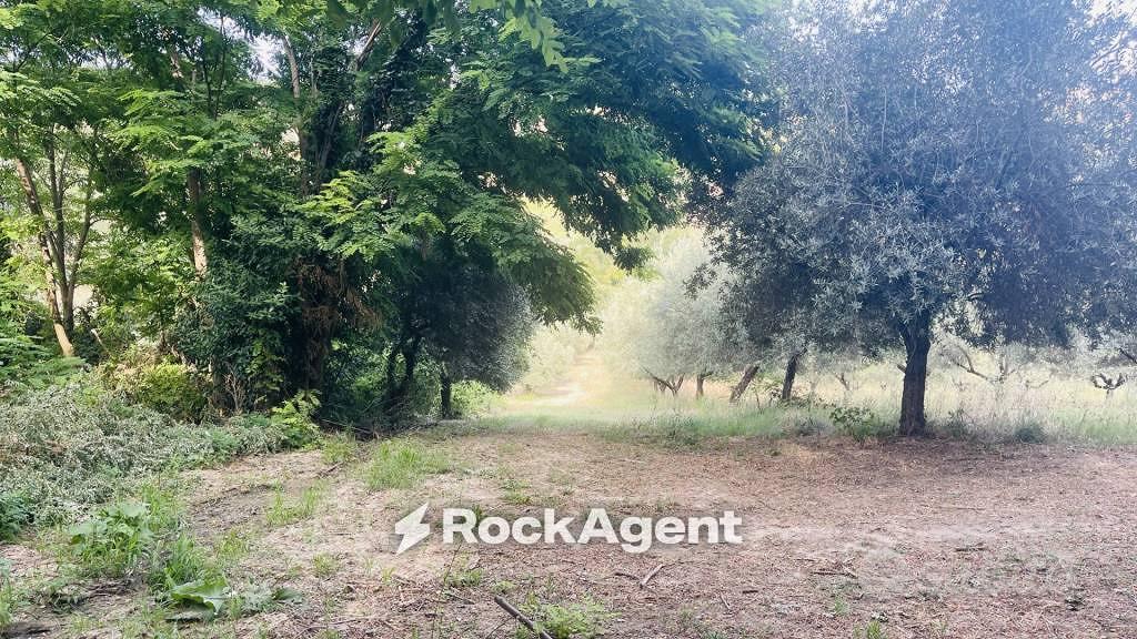 Terreno di 12880 m² a Sant'Omero - Altro