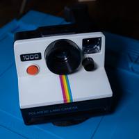 Polaroid Land 1000 Fotocamera Vintage Funzionante