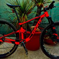 Mtb Giant Anthem full suspension.