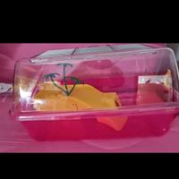 Vasche per tartaruga con isoletta