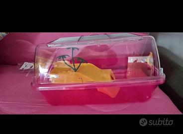 Vasche per tartaruga con isoletta