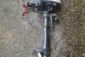 Fuoribordo selva 2,5 kw