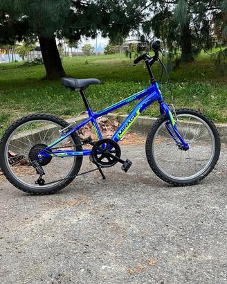 Bicicletta per bambini