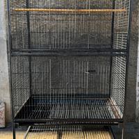 Voliera pappagalli o piccoli mammiferi