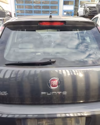Portellone nudo FIAT GRANDE PUNTO EVO del 2013