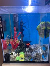 Acquario nano cubo completo 