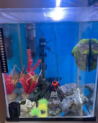 Acquario nano cubo completo 