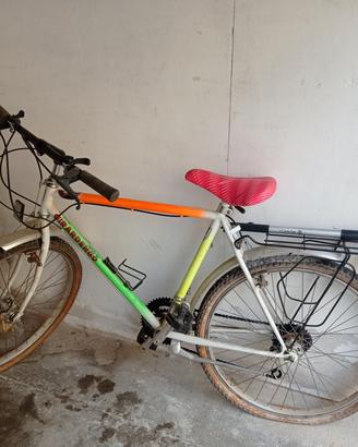 bicicletta 