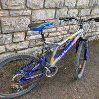 Bici Bottecchia da uomo