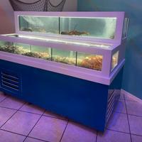 acquario professionale per crostacei e molluschi 
