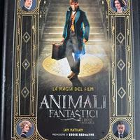 Animali fantastici: La magia dei film