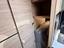 Immagine 19