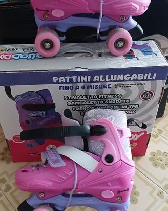 PATTINI A ROTELLE 