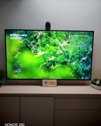 smart tv Samsung 65 pollici perfetto