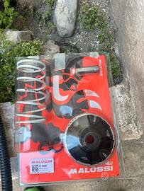 Variatore malossi per liberty 50 2t