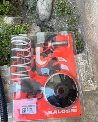 Variatore malossi per liberty 50 2t